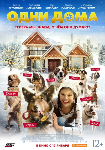 Постер: Одни дома 